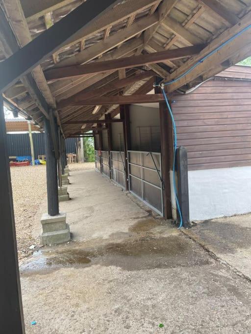 Ivy Cottage Salters Lode Экстерьер фото